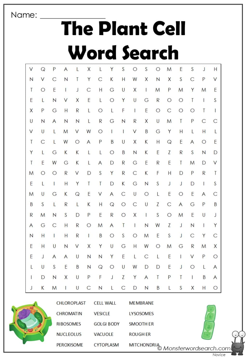 the-plant-cell-word-search-monster-word-search